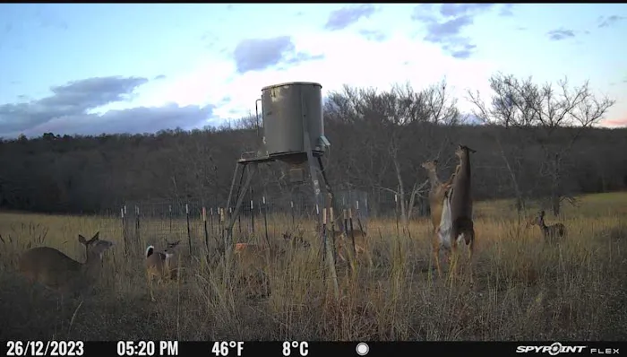 Scaria Ranch 3