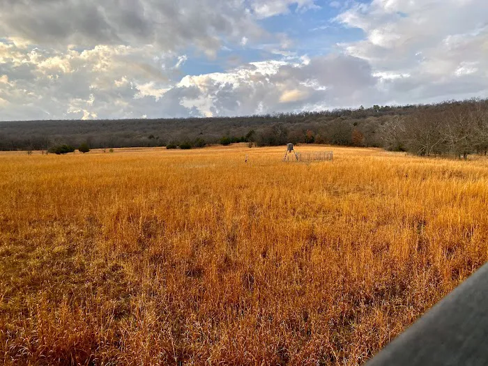Scaria Ranch 6
