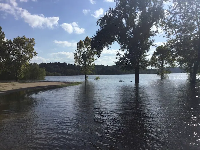 Turkey Creek Landing 5