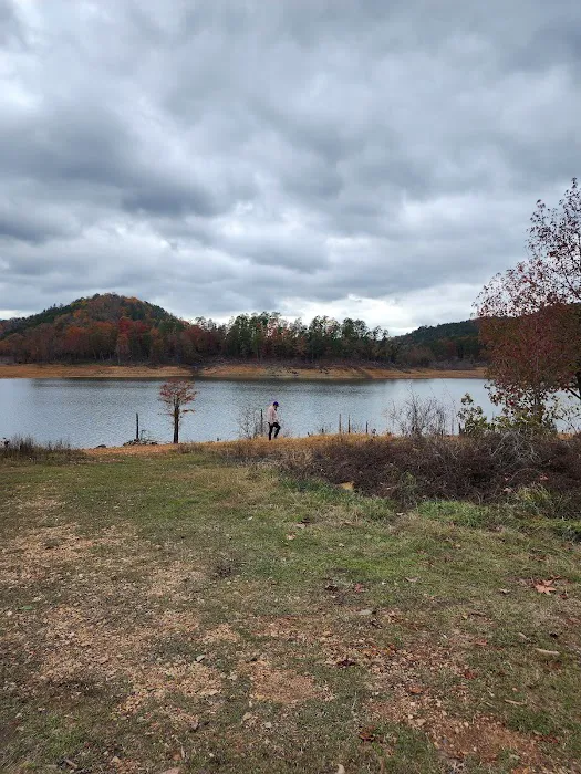Holly Creek Campsite 8