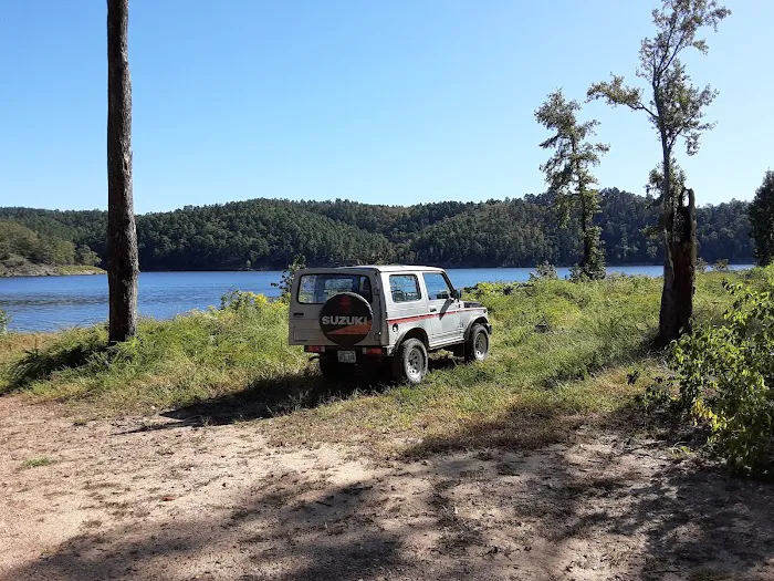 Holly Creek Campsite 7