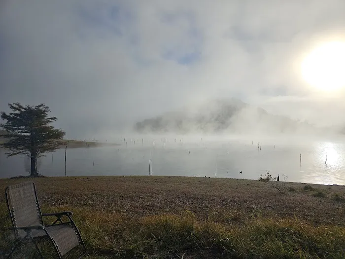 Holly Creek Campsite 2