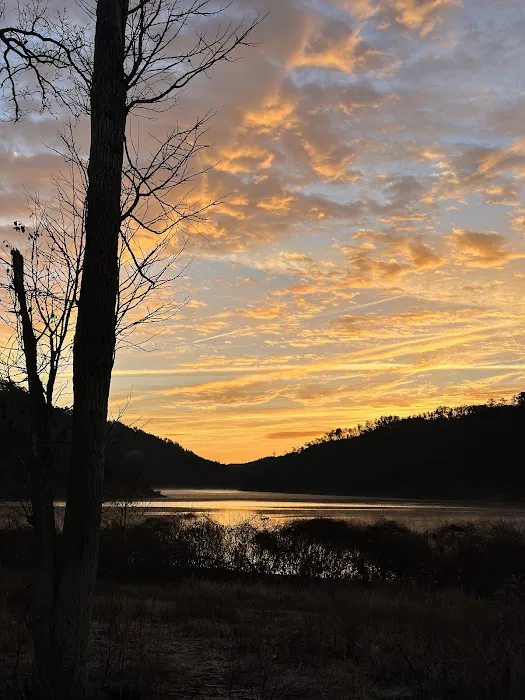 Holly Creek Campsite 3