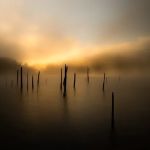 Holly Creek Campsite