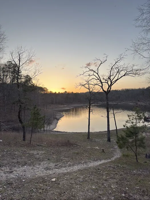 Firefly Tent Campground 7