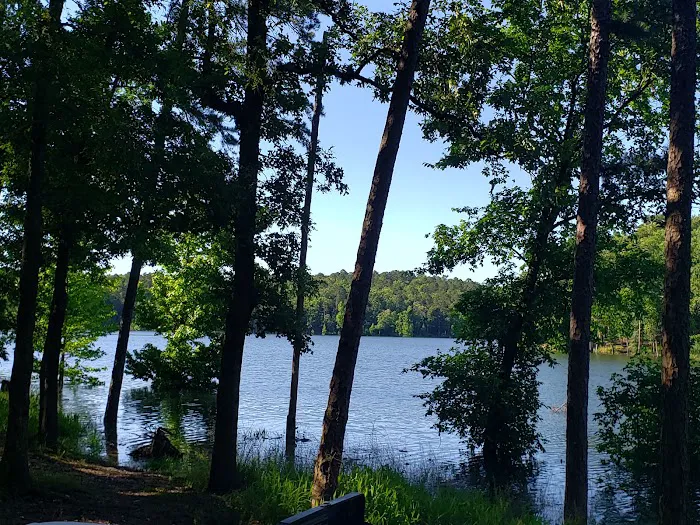 Carson Creek Area RV Campground 7