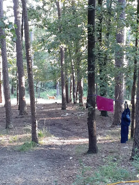 Quail Circle RV Campground 7