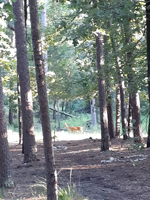 Quail Circle RV Campground 8
