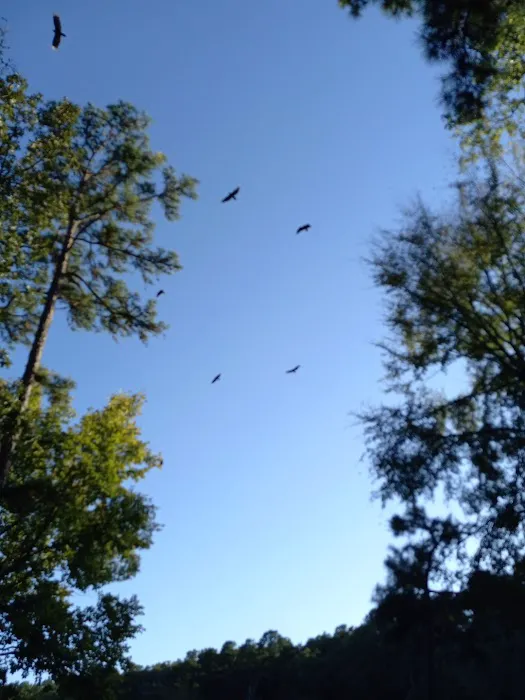 Hawk Campgrounds 5