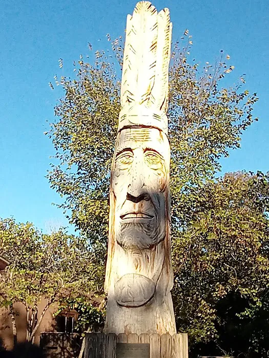 Coyote Drive Campground 1