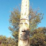 Coyote Drive Campground