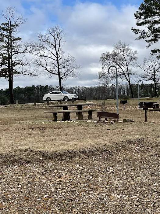 Coyote Drive Campground 4