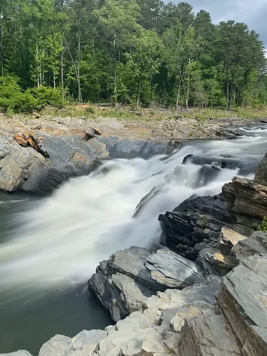 Coyote Drive Campground 10