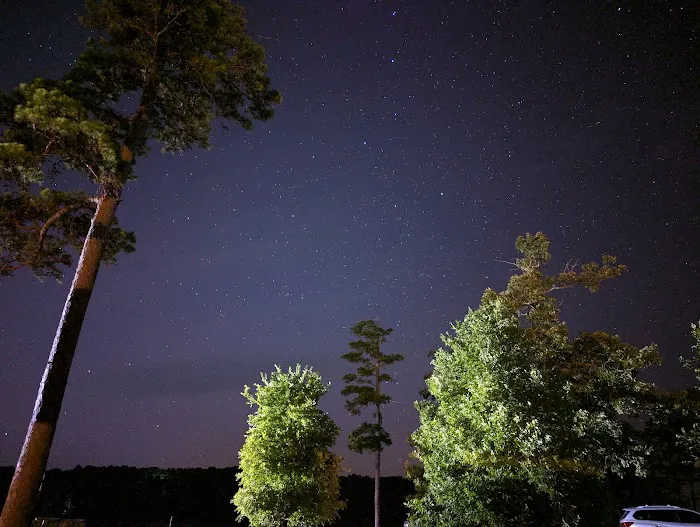 Coyote Drive Campground 2