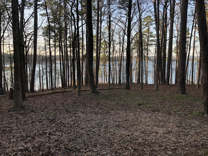 Deer Road Camping Area 1