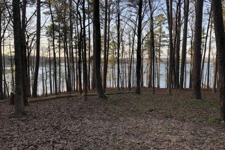 Deer Road Camping Area