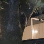 Coachlight Village South