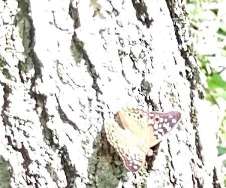 Grindstone Reservoir