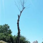 Park West Mobile Home Park