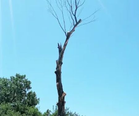 Park West Mobile Home Park