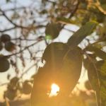 Sadler Properties & RV Park