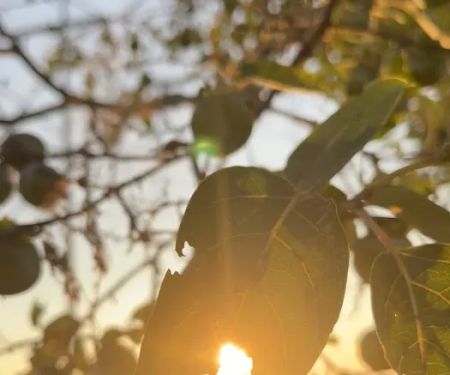 Sadler Properties & RV Park