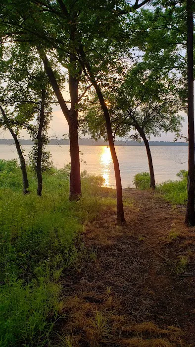 Osage Cove 5
