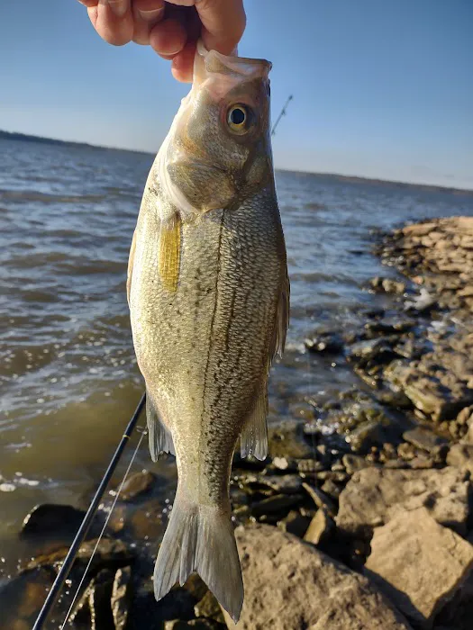 Osage Cove 7