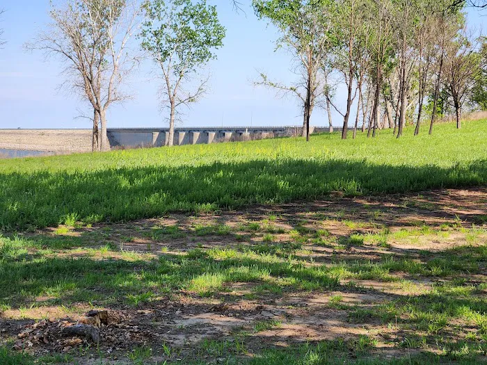 Sandbur RV Park 5