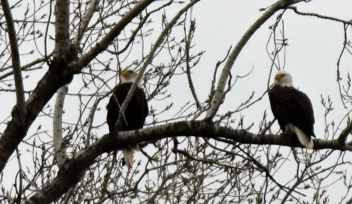 Ox Bow RV Park - Kaw Lake 4