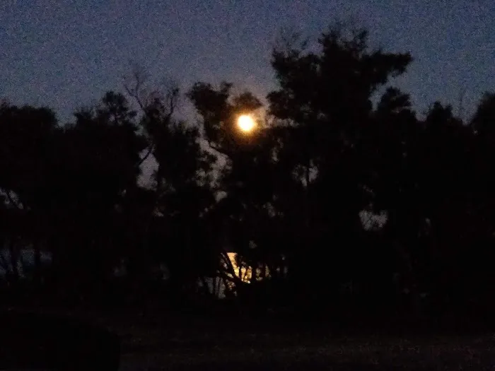 Washunga Campground 1