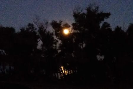 Washunga Campground