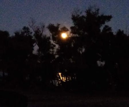 Washunga Campground