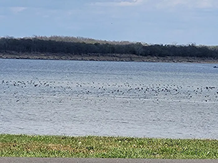 Coon Creek Cove 6