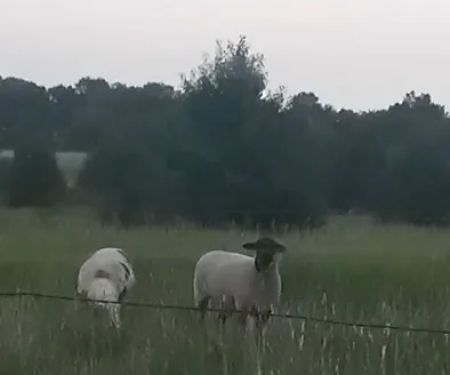 Big Country Mobile Home & RV Park