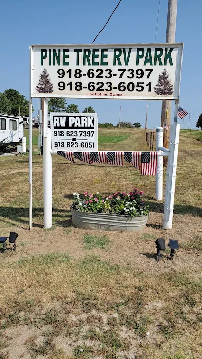 PINE Tree RV PARK 4