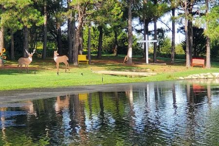 PINE Tree RV PARK