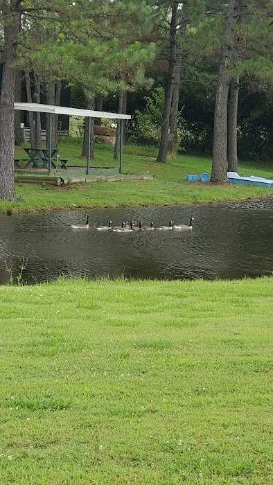PINE Tree RV PARK 10