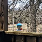 DAM SITE (EUFAULA LAKE) (recgovnpsdata)