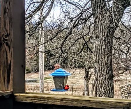 DAM SITE (EUFAULA LAKE) (recgovnpsdata)