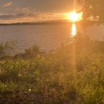 Highway 9 Campground