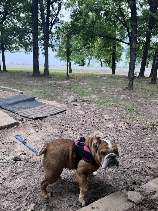 Highway 9 Campground 5