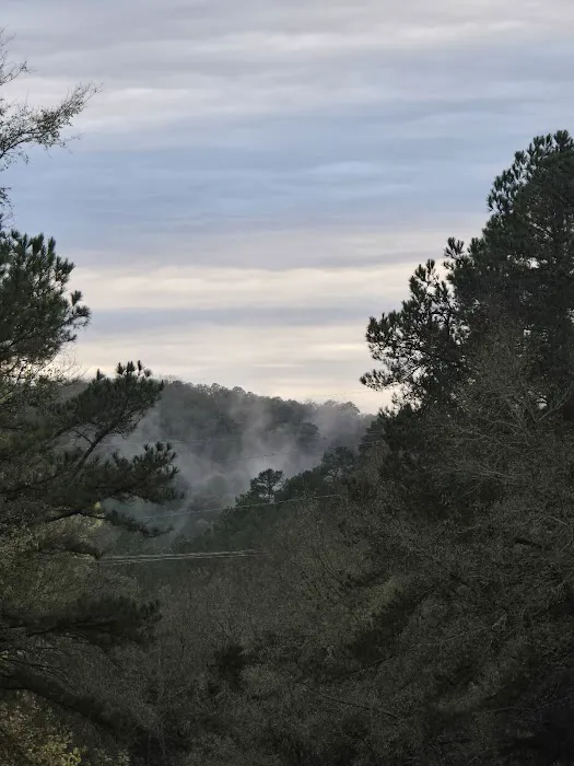 Fern Campground 6