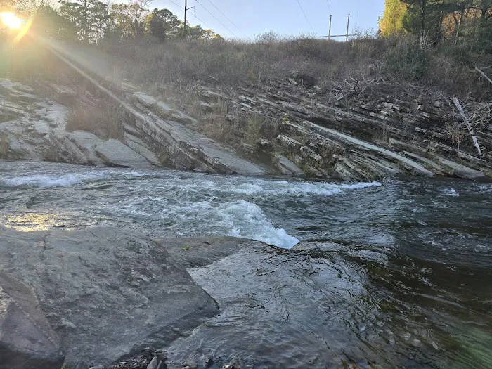 Fern Campground 5
