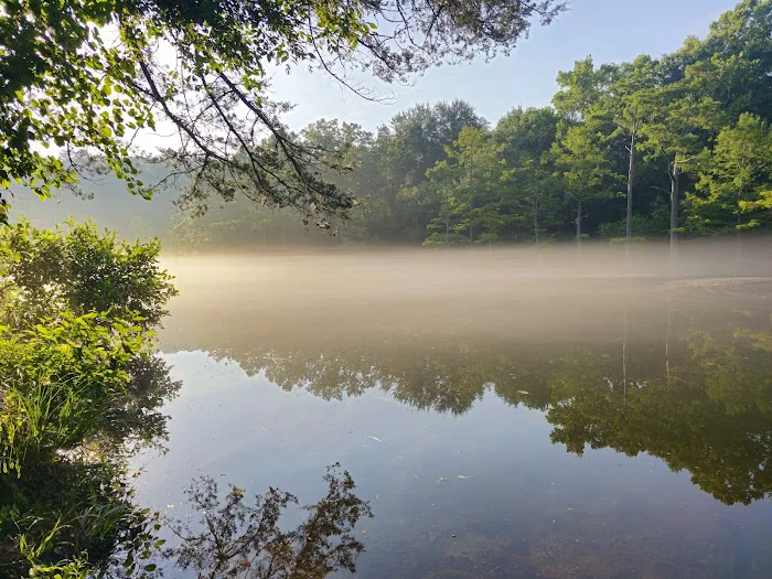 Fern Campground 2