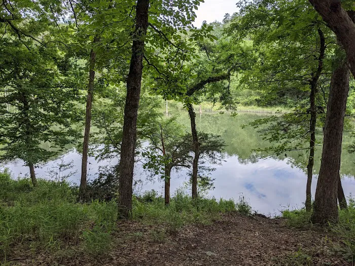 Fern Campground 10