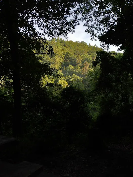 Grapevine Campground 6
