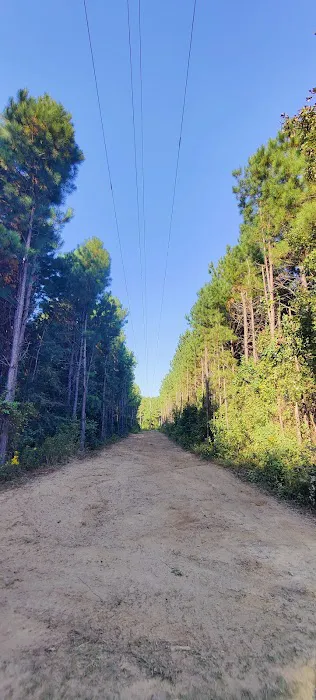 Pleasant Hill Pines at Norwood Creek 5