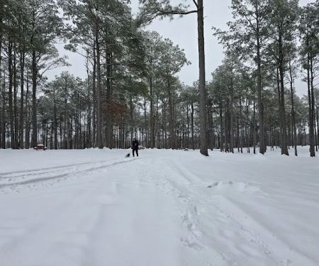 Redwood RV Park