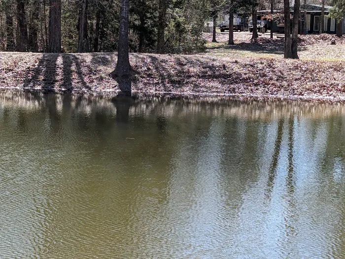 Shady Oaks Resort - RV Full Hookups, Cabins & Guest Lodge 1